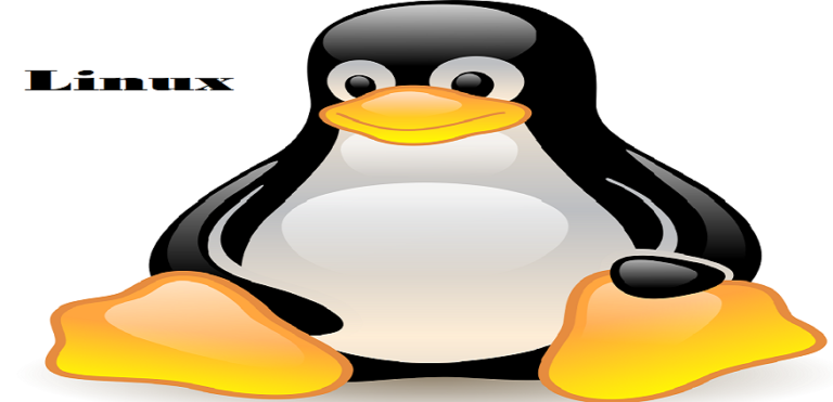 Управление сетевыми настройками в Linux